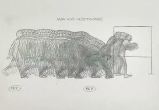 9.5分以上的紀(jì)錄片排名,生命、王朝優(yōu)秀又經(jīng)典