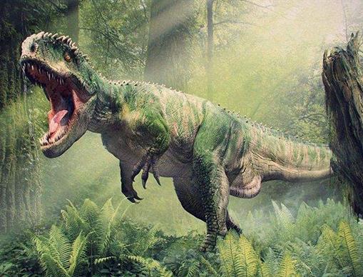 亞馬遜探險電影排名,狂蟒之災、剛果驚魂都很刺激