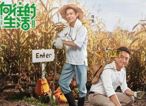 中國十大綜藝真人秀排名,偶像練習生、向往的生活很不錯