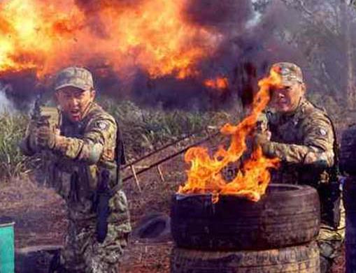 十大狙擊手電影排行,兵臨城下、生死狙擊都很經典