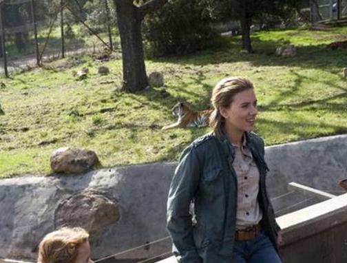 好看又治愈的歐美電影排名,《家庭作業(yè)》《戀戀筆記本》很好看