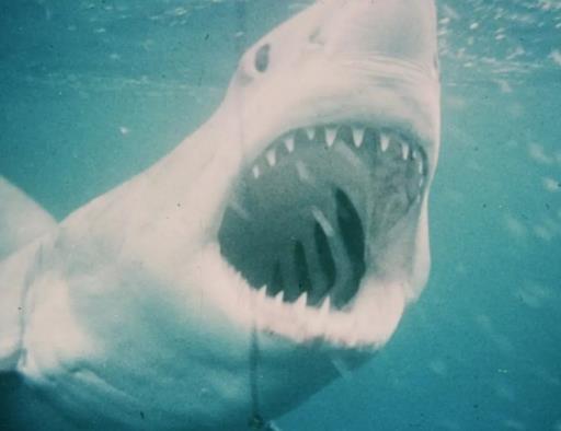 全球十大科幻怪獸電影排名,《異形》《金剛》深受喜愛