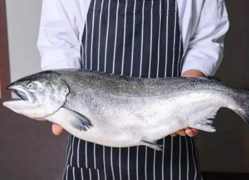 世界上十種最貴海鮮排名,藍龍蝦、帝王鮭不是一般人吃得起的