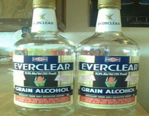 全球十大烈酒排名,波蘭精餾伏特加、達爾摩62威士忌很烈