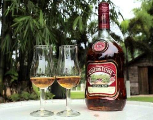 全球十大烈酒排名,波蘭精餾伏特加、達爾摩62威士忌很烈