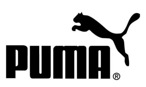 全球十大知名運動品牌排名,耐克、阿迪達斯都是知名品牌