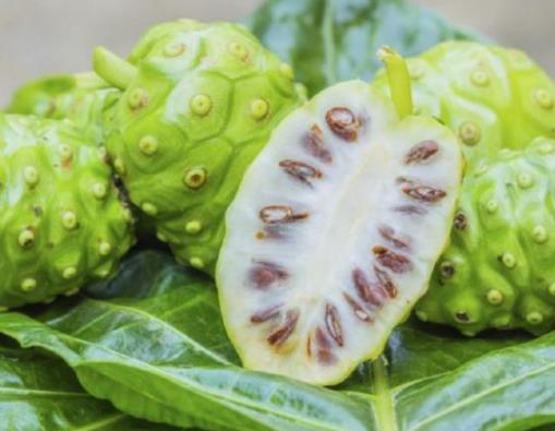 世界十大難吃水果排名,金鈴子、牛油果比榴蓮還怪異