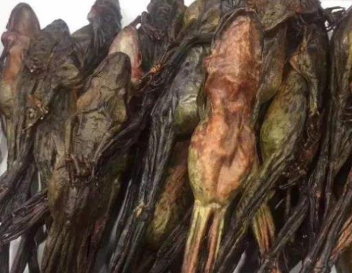 世界十大最貴的食物排名,神戶牛肉、鵝肝醬都很高級