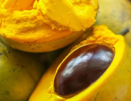 世界十大難吃水果排名,金鈴子、牛油果比榴蓮還怪異