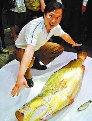 世界十大最貴的食物排名,神戶牛肉、鵝肝醬都很高級