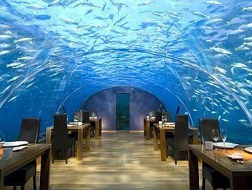 世界十大最豪華餐廳排名,Sublimotion、Aragawa都很豪華