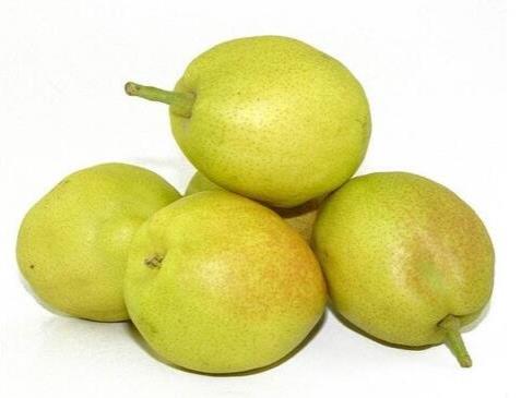 十大降火水果排行榜,檸檬、石榴都是降火好幫手