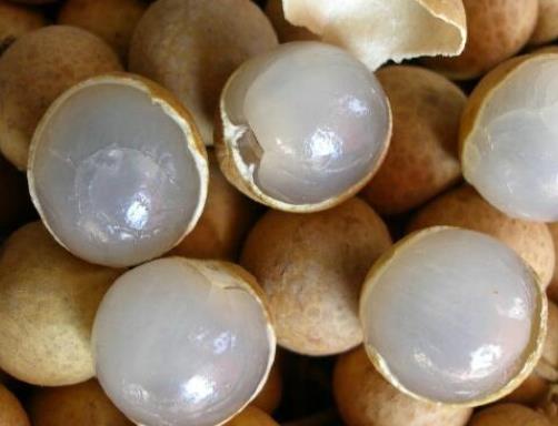 十大補腎水果排名,桑葚、獼猴桃對腎虛很有用