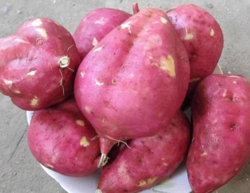 十大美白蔬菜排行榜,豌豆、蘑菇都是美白好幫手