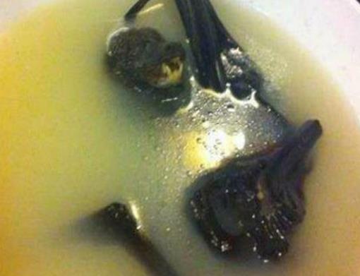 江門十大小吃排名,竹筒飯是江門特色,外海面韌性十足