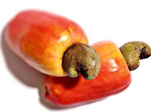 十大名貴水果排名,紅香蕉是神奇水果,摩洛哥堅果很稀少