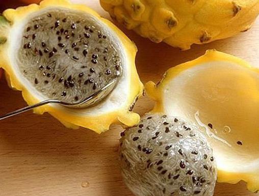 十大名貴水果排名,紅香蕉是神奇水果,摩洛哥堅果很稀少