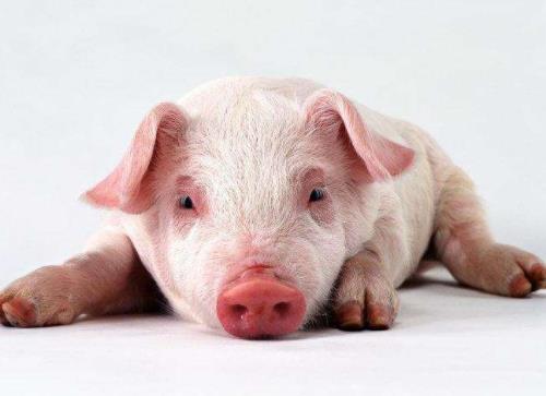 2019年全球金融業十大熱詞,貿易、英國脫歐都是熱搜