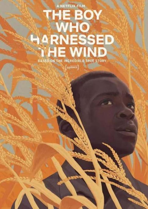 2019必看高分電影排名,寄生蟲拿金棕櫚大獎,馭風男孩很勵志