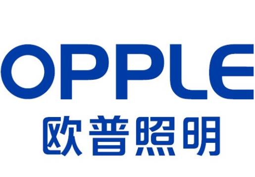 2019中國(guó)輕工業(yè)科技公司排名,海信家電、阜豐集團(tuán)的產(chǎn)品很暢銷