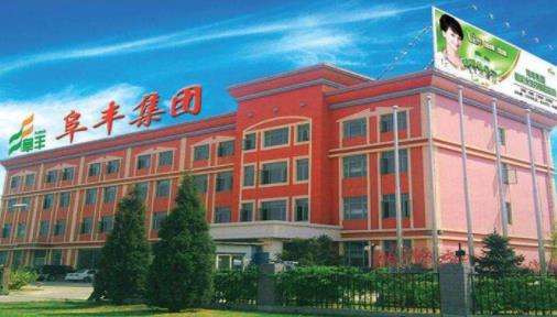 2019中國(guó)輕工業(yè)科技公司排名,海信家電、阜豐集團(tuán)的產(chǎn)品很暢銷