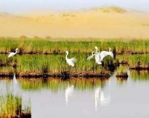 仙桃十大景點(diǎn)排行榜,陳友諒紀(jì)念館、沔城風(fēng)景名勝區(qū)很出名