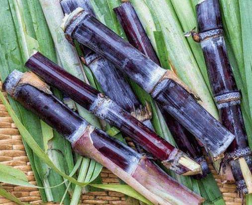 孕婦禁吃十大水果排名,山楂易導(dǎo)致流產(chǎn),榴蓮導(dǎo)致血糖升高