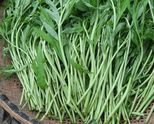 十大野菜種類排名,面條菜對咳嗽有療效,婆婆丁能抗菌消炎