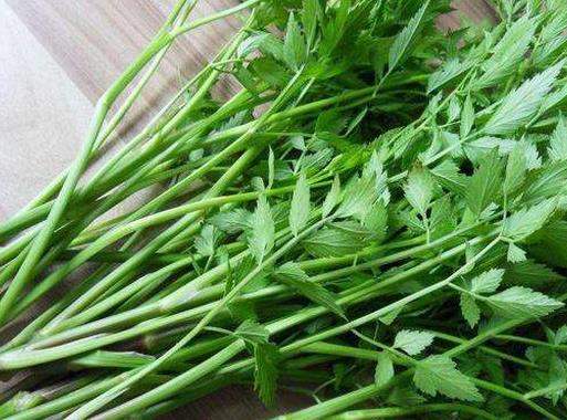 十大野菜種類排名,面條菜對咳嗽有療效,婆婆丁能抗菌消炎