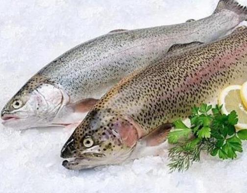 十大促進傷口愈合的食物,手術后吃豬蹄、鱸魚幫助傷口愈合