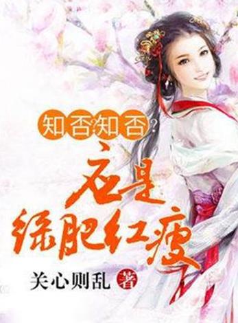 十大經(jīng)典穿越重生小說排名,知否知否應(yīng)是綠肥紅瘦、慶余年很火