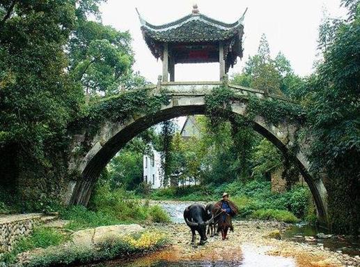 武義十大景點排名,郭洞景區稱江南第一風水村,大萊梯田壯美