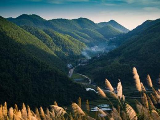 萍鄉十大景點排行榜,秋收起義廣場是全國紅色旅游經典景區