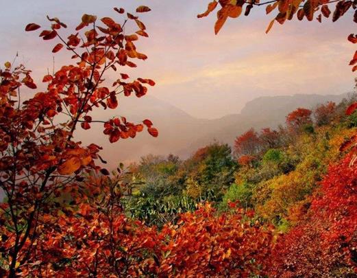 禹州十大旅游景點(diǎn)排名,鈞官窯址博物館歷史悠久,大鴻寨風(fēng)景優(yōu)美