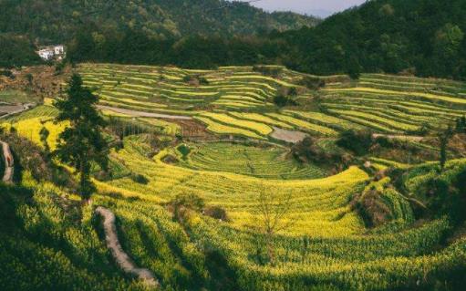 吉安十大景點排行榜,吉州窯景區風景優美,青原山景色秀麗