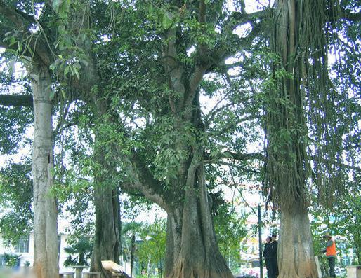 普洱十大景點排行榜,勐梭龍潭景觀優美,娜允古鎮古建筑保存好