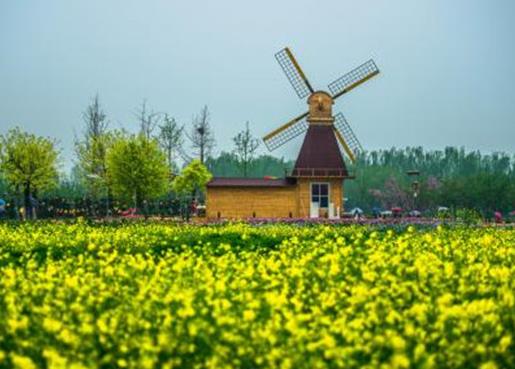 章丘景點排行榜,百脈泉與趵突泉齊名,朱家峪古村為梯形聚落