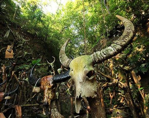 普洱十大景點排行榜,勐梭龍潭景觀優美,娜允古鎮古建筑保存好