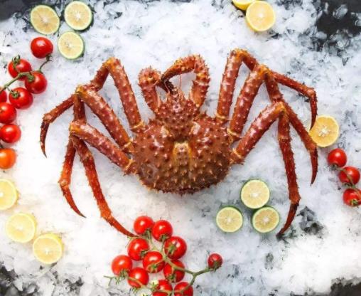 世界最貴十種蟹排行榜,阿拉斯加帝王蟹體型大,俄羅斯帝王蟹鮮美