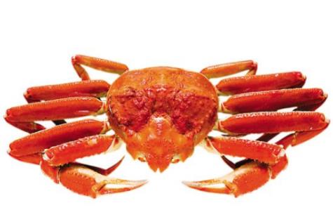 世界最貴十種蟹排行榜,阿拉斯加帝王蟹體型大,俄羅斯帝王蟹鮮美