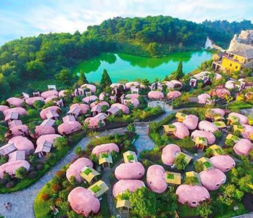 福建最美十大民宿排名,九龍谷別墅小木屋依山傍水適合度假