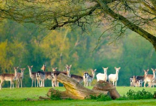 世界秋天最美的十個地方,青塔國家公園、卡塔赫納都是旅游勝地