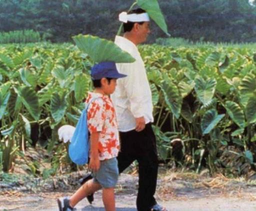 日本十大經(jīng)典電影排名,《龍貓》《千與千尋》都很經(jīng)典