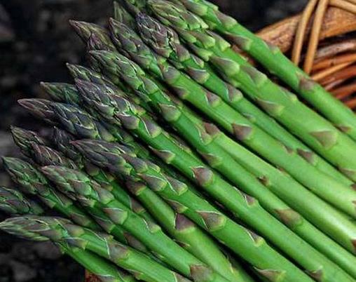 十大最強排毒食物排行榜,豬血有解毒作用,綠豆可降低膽固醇