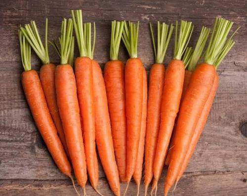 十大最強排毒食物排行榜,豬血有解毒作用,綠豆可降低膽固醇