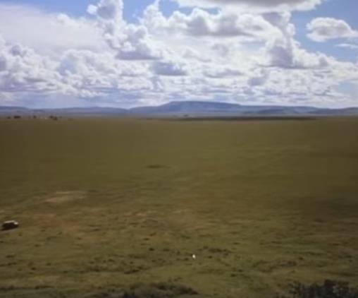 關于旅行的十部最佳電影,到野外激發(fā)熱情,非洲之外獲奧斯卡獎