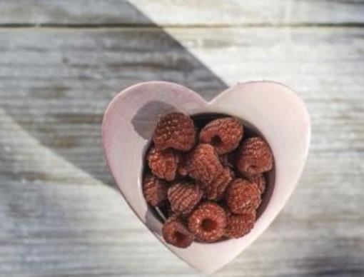 高質量虐心的現言小說排名,他和她的貓、王子與玫瑰十分揪心