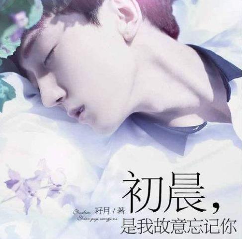 高質量虐心的現言小說排名,他和她的貓、王子與玫瑰十分揪心