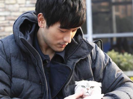 高質量虐心的現言小說排名,他和她的貓、王子與玫瑰十分揪心