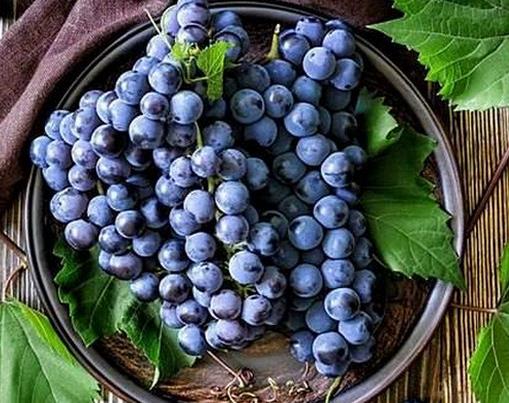 十大活血化瘀的食物排名,紅花能疏通經(jīng)絡(luò),當(dāng)歸緩解月經(jīng)不調(diào)